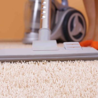 4 Reasons To Leave Pet Friendly Rug Cleaning To The Pros