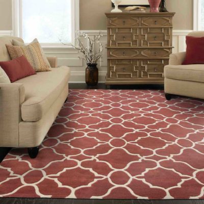 Shopping for a Pet Proof Rug