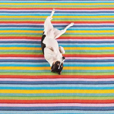 Designing A Pet-Friendly Home