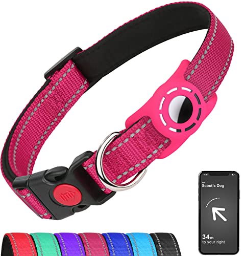Airtag Dog Collar for Small Dogs – Pet Friendly Rugs