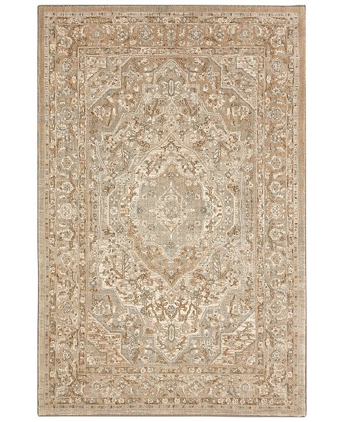 Pet Friendly Touchstone Nore Willow Grey Rug pet rug pet resistant stain proof easy to clean karastan area rug online affordable