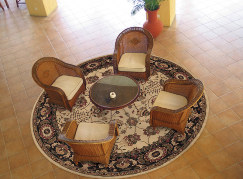 Pet Friendly Ariana 431i Rug oriental weavers area rug online pet friendly stain resistant