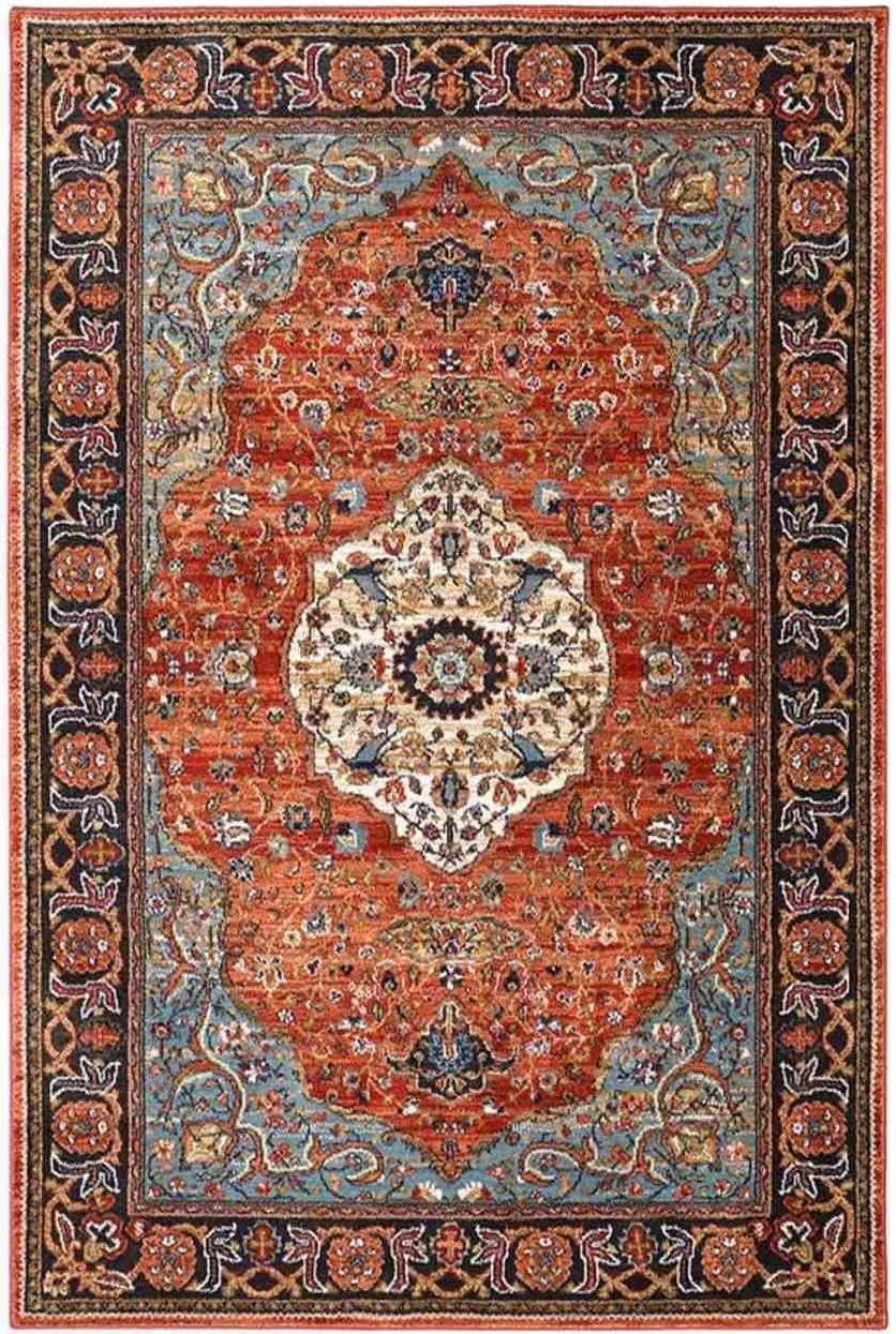 Pet Friendly Spice Market Petra Multi Rug stain resistant pet dog cat proof rug online affordable karastan area rug