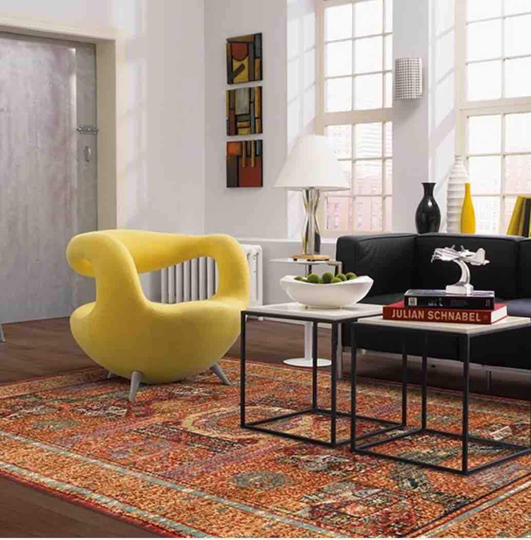 Pet Friendly Spice Market Cyprus Garnet Rug stain resistant area rug dog rug cat rug karastan online