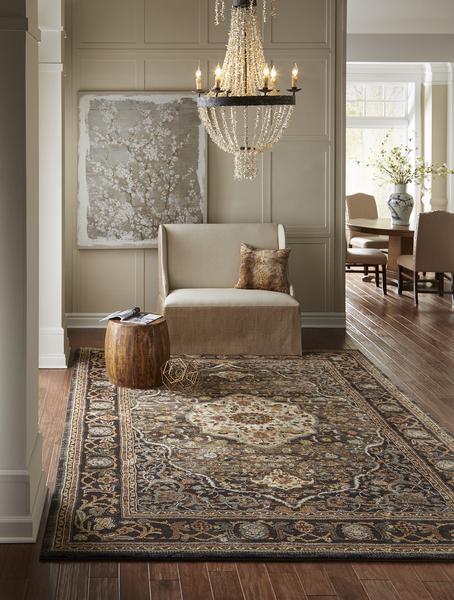 Pet Friendly Spice Market Petra Charcoal Rug stain proof area rug for pets online karastan area rug