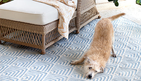 Four Tips For Purchasing a Pet Friendly Rug