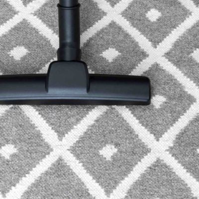 7 Ways To Keep Your Pet Friendly Rug Clean