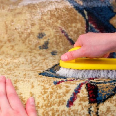 Removing Stains From Your Pet Friendly Rug