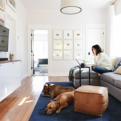 Pet Friendly Rugs Withstand Use From Pets