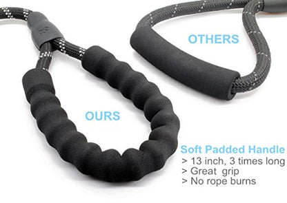 5 FT Strong Dog Leash with Comfortable Padded Handle and Highly Reflective Threads for Medium and Large Dogs (Black)