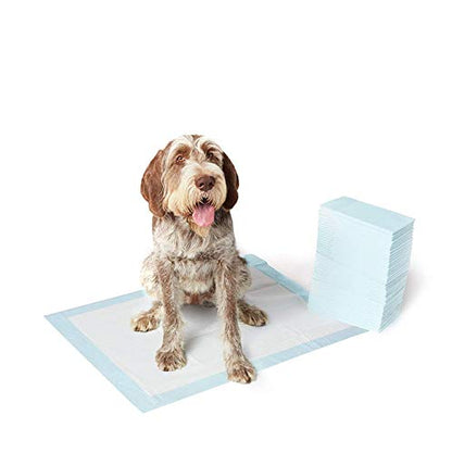 Dog and Puppy Potty Training Pads, X-Large (28 x 34 Inches) - Pack of 40