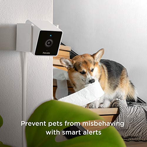 Petcube Cam Pet Monitoring Camera with Built-in Vet Chat for Cats & Dogs, with 1080p HD Video