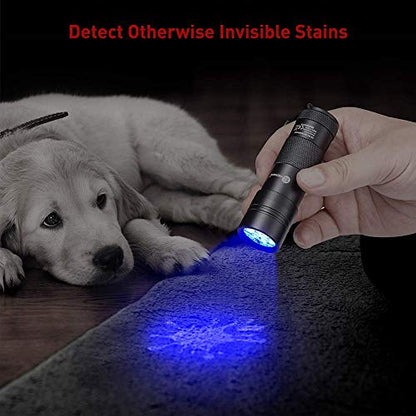 Blacklight Flashlight Detector for Pet Urine and Stains