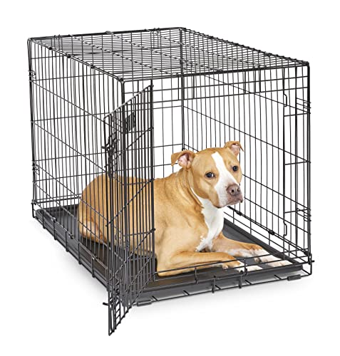 MidWest Homes for Pets Newly Enhanced Single & Double Door iCrate Dog Crate
