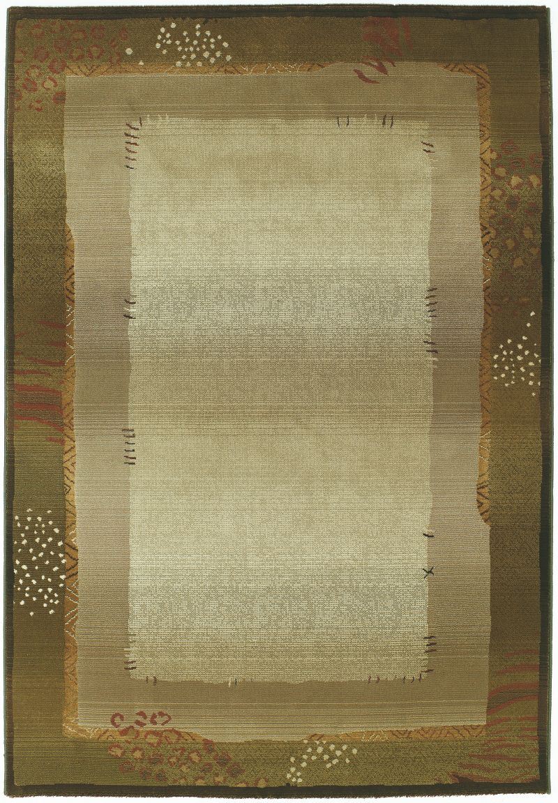 Pet Friendly Generations 112G1 Rug oriental weavers stain resistant area rug online affordable
